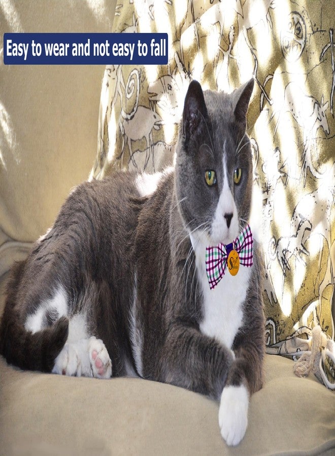 سايج سكوير ربطة عنق مربعة بطبعة قطط وهريرات: إكسسوار أنيق ومتين لعشاق القطط - مثالية للمناسبات الرسمية، والاستخدام اليومي، والصور التذكارية، ودعائم الحيوانات الأليفة، والحفلات، ربطة عنق أنيقة مطبوعة - Image 4